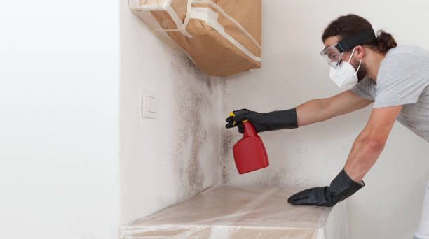 Attic Mold Remediation treatment on roof deck in Bohemia